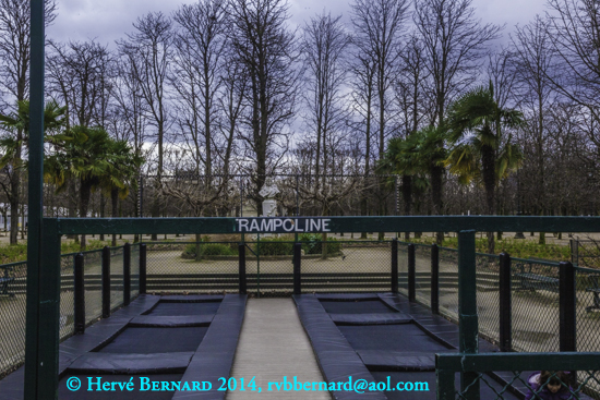 - Le Jardin des Tuileries, <br>a perspective