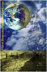 - Articles sur l'environnement