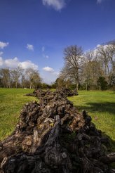 - The International Garden Festival, Chaumont sur Loire