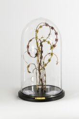 - Monitoring and punishing throughout the panopticon