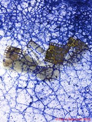 - Techniques traditionnelles