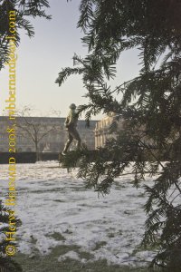 Le Jardin des Tuileries, Paris