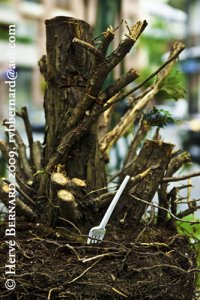 Bon Appétit<small class="fine d-inline"> </small>! / Enjoy<small class="fine d-inline"> </small>!