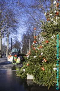 Après les ripailles, la paille<small class="fine d-inline"> </small>!