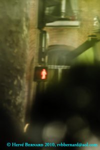 Un humain dans la ville, photographie Hervé Bernard 2010