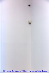 Surveillance / Monitoring