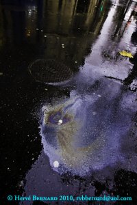 Reflet, Photographie Hervé Bernard