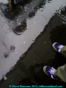 La paire de chaussures bleues / The blue pair of shoes