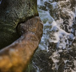 - The International Garden Festival, Chaumont sur Loire
