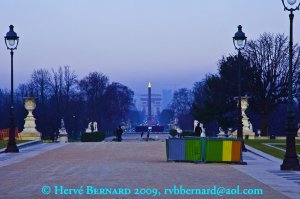 Le Jardin des Tuileries