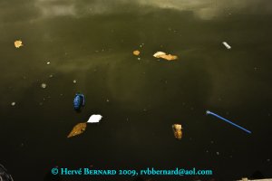 Flottage : Jeu de mains, jeu de vilains...