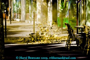 été indien ou automne<small class="fine d-inline"> </small>?