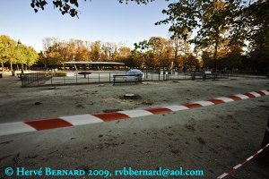 Le Jardin des Tuileries, Paris
