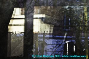 Reflet ou transparence<small class="fine d-inline"> </small>? photo Hervé Bernard 2011
