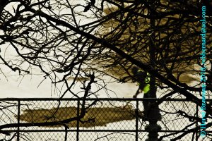 Le Jardin des Tuileries. Paris