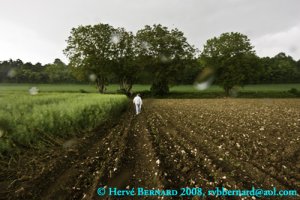 Campagne, photographie Hervé Bernard 2008