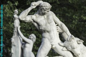 Des combats et des larmes / Struggles and tears