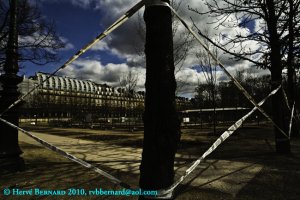 Le Jardin des Tuileries par Hervé Bernard