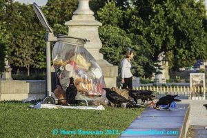 Libre service / Help your self