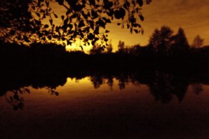 L'écume de la terre, photographie Hervé <span class="caps">BERNARD</span> 2011