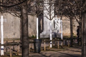 Graphisme arboricole / Tree graphism