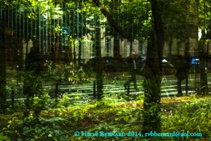 La Jungle parisienne / The parisian jungle