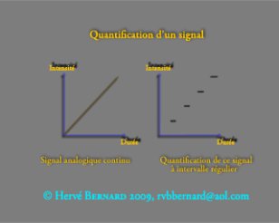 - Images et numérique