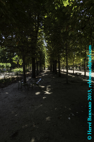 Le jardin des Tuileries