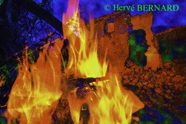 - Articles sur l'environnement