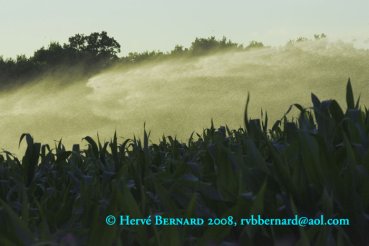 - L'Ecume de la Terre I