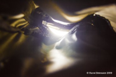 - Couleurs, lumières et optiques