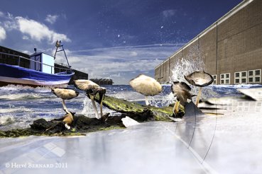 - And, if that was true 2010-2080... <br> Perspectives... Back to the Futur...