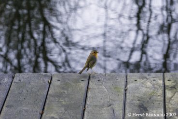 Billets d'humeur