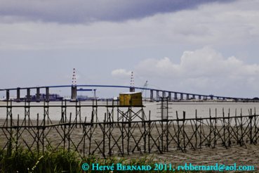 - L'Ecume de la Terre I