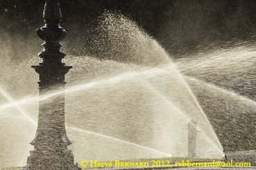 - Weekly photography