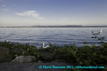 - L'Ecume de la Terre I