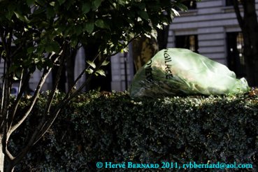 - Townscape
