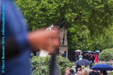 - On a straight Line<small class="fine d-inline"> </small>! (Le Jardin des Tuileries)