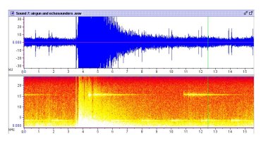 - Picture perception