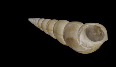 3D photography and printing