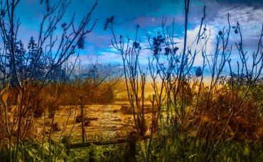 - Résumé, lectures and statements