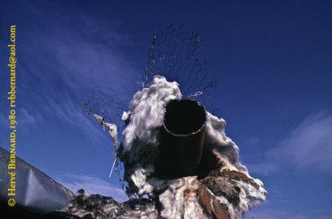 - Articles sur l'environnement