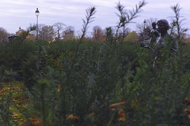 - Le Jardin des Tuileries : la statuaire