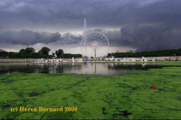 - On a straight Line<small class="fine d-inline"> </small>! (Le Jardin des Tuileries)