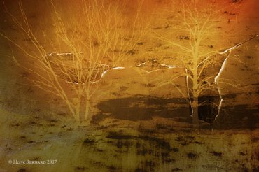 - Image et paysage