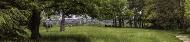 - Chaumont sur Loire, le festival International des Jardins