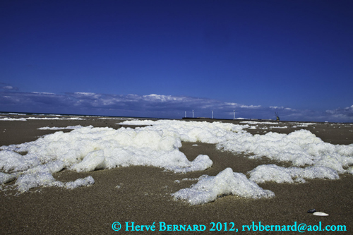 Le Portel : écume sur la plage, photographie (c) Hervé Bernard 2012